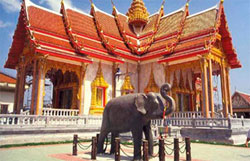 ASUS: Азиатские каникулы 2013!