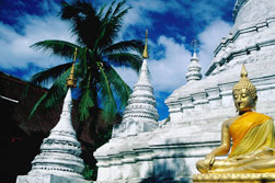 ASUS: Азиатские каникулы 2013!