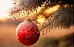 Supra: в Новый год с новой техникой