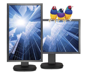 ViewSonic VG ViewSonic VG