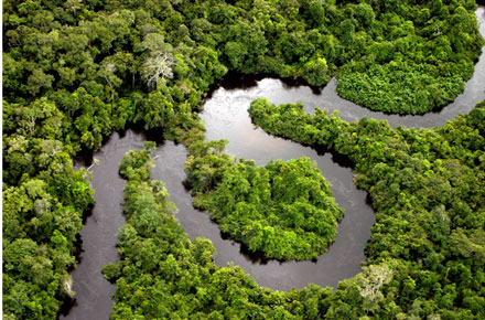 Все тайны Амазонии с Lenovo Все тайны Амазонии с Lenovo