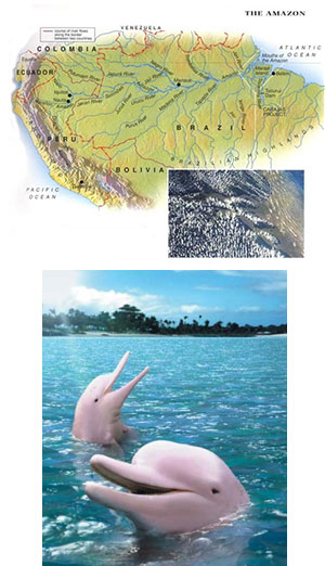 Все тайны Амазонии с Lenovo