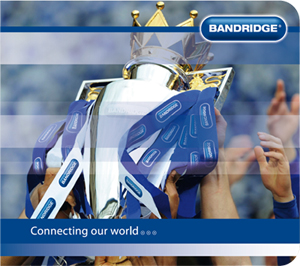 Лига чемпионов Bandridge Лига чемпионов Bandridge