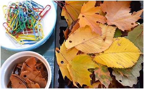 Закрепи осень с KW-triO! Закрепи осень с KW-triO!