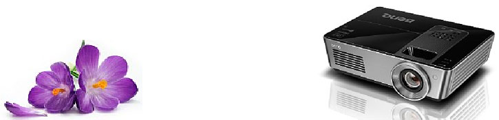 Весенние рибейты от BenQ