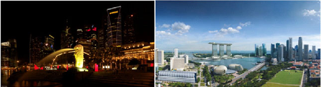 Лига пластика Лига пластика