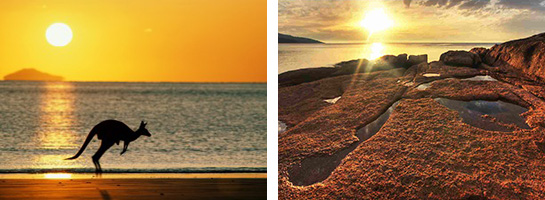 Покупайте мониторы Philips и выигрывайте путешествие в Автралию! Покупайте мониторы Philips и выигрывайте путешествие в Автралию!