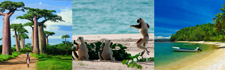 С Lenovo на остров лемуров - Мадагаскар! С Lenovo на остров лемуров - Мадагаскар!