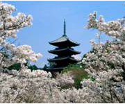 Роскошь доступна!