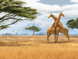 Лучшее в Африке Лучшее в Африке