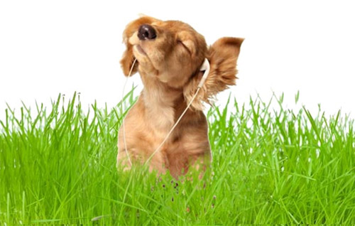 Летний BOOM от BBK!