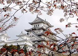 В Японию с НР!