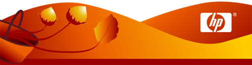 Осенние скидки на аксессуары НР до 10%