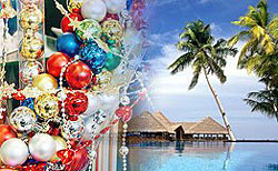 Новогодние каникулы от НР!