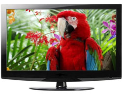 TV – сезон в MERLION!