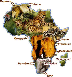 Африка зовёт!