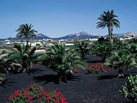 Palit: подогрей осень!