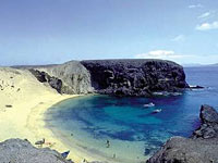 Palit: подогрей осень!