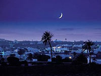 Palit: подогрей осень!