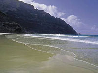 Palit: подогрей осень!