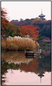 Япония: осенняя Palit’ра