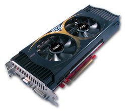 Palit’ические каникулы