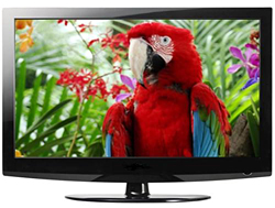 TV – сезон в MERLION!