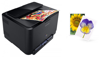 Лето в цвете