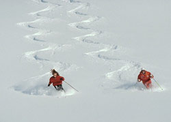Клуб путешествий» MERLION: незабываемый трип от Tripp Lite