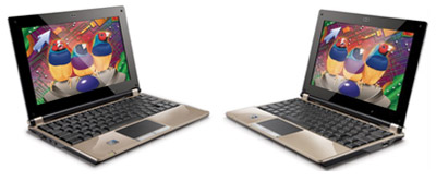 Заработай на нетбуках ViewSonic!