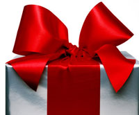 Багаж ценных знаний и подарков от Western Digital 