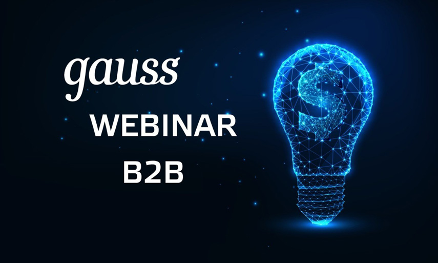 Вебинар Gauss для представителей сегмента B2B