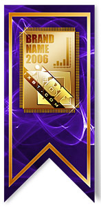 MERLION – лучший IT-дистрибьютор 2006