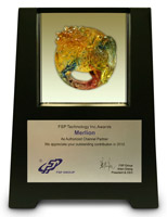 Компания MERLION удостоена награды FSP