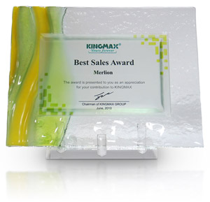 Best Sales Award 2010 from Kingmax