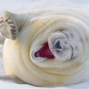 Переходи на Symantec  и выигрывай!