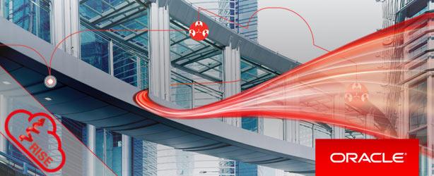 Oracle Partner Day & CIS 2017 Oracle Partner Day & CIS 2017