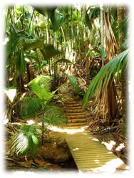 остров Праслин