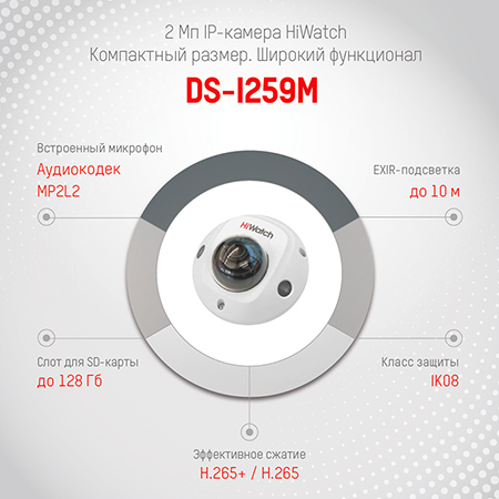 HiWatch DS-I259M