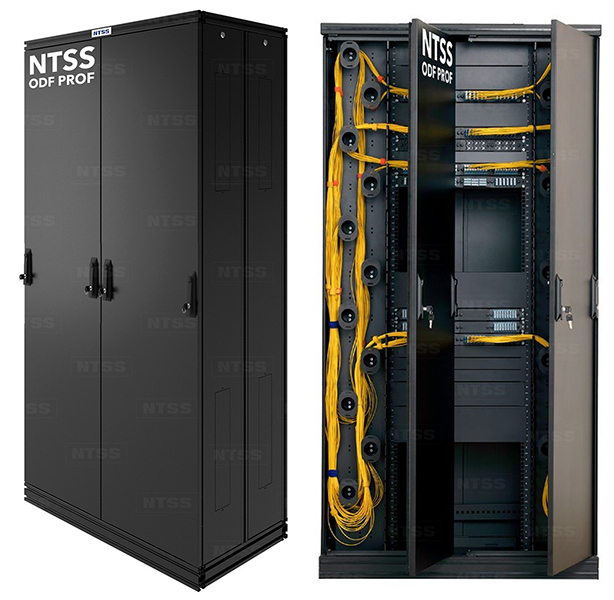 Новинка от EMILINK: NTSS ODF PROF от российского производителя