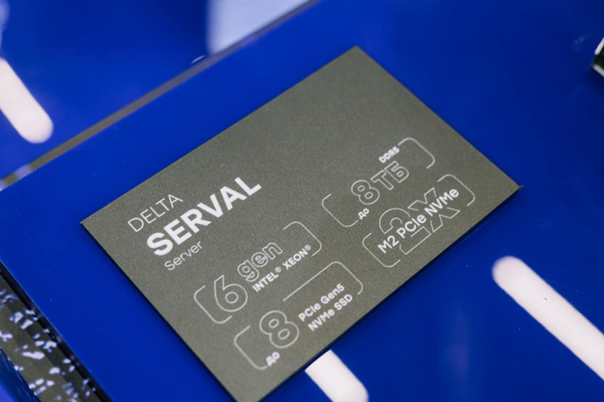Delta Serval Server